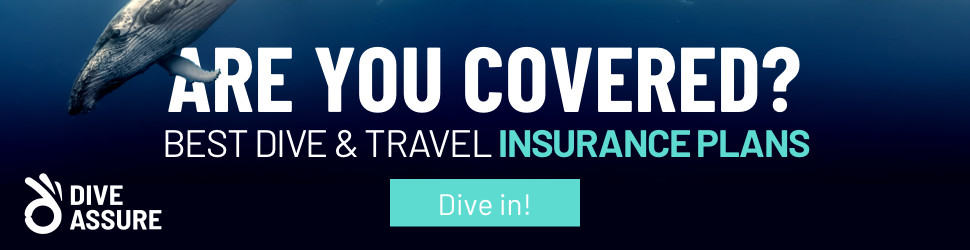 Dive Insurance